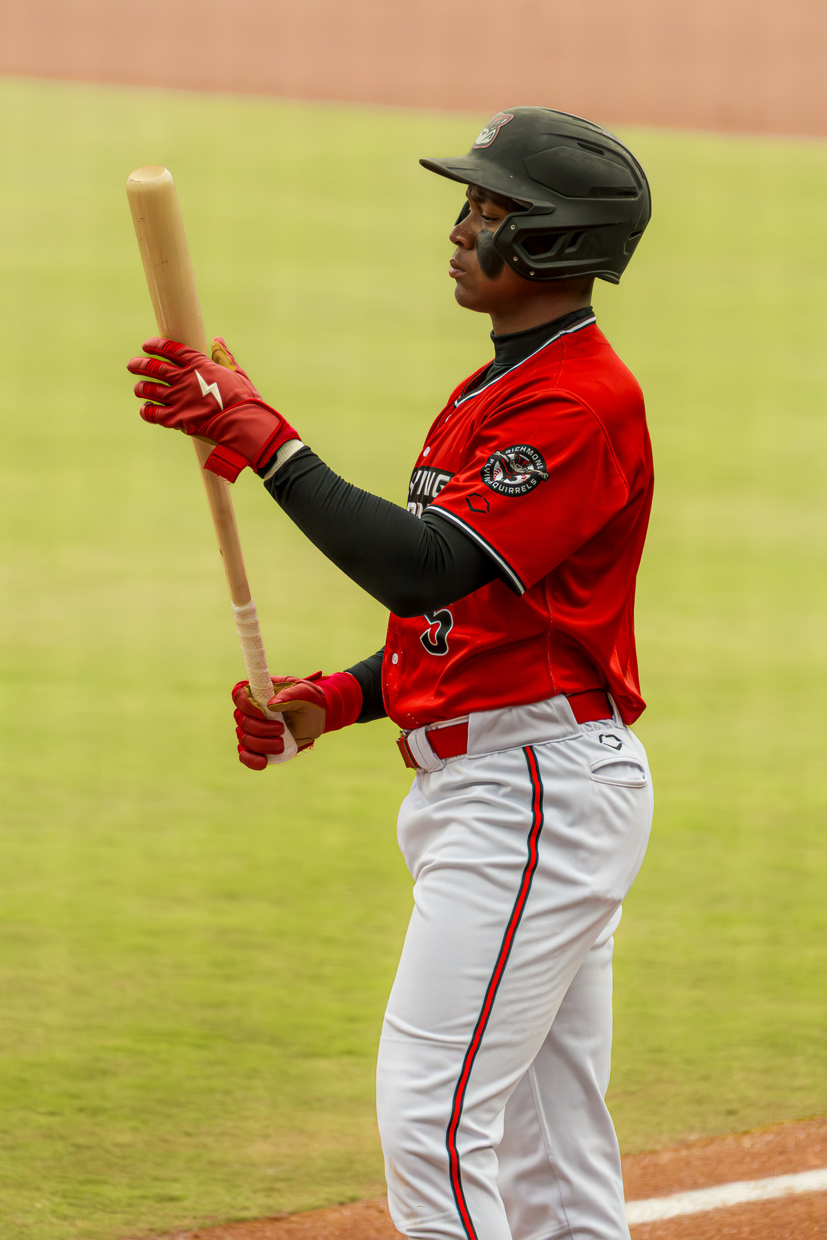 Flying squirrel